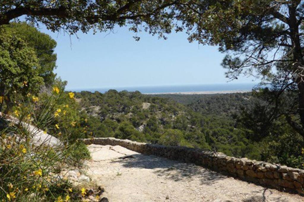 Entre Mer Et Garrigue Saint-Pierre-la-Mer  外观 照片