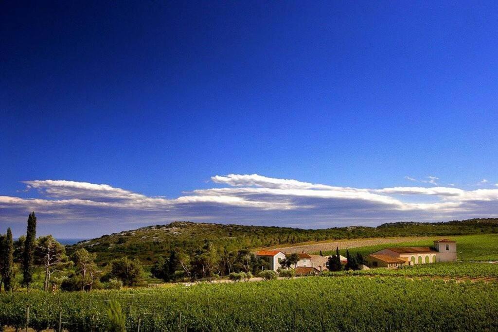 Entre Mer Et Garrigue Saint-Pierre-la-Mer  外观 照片