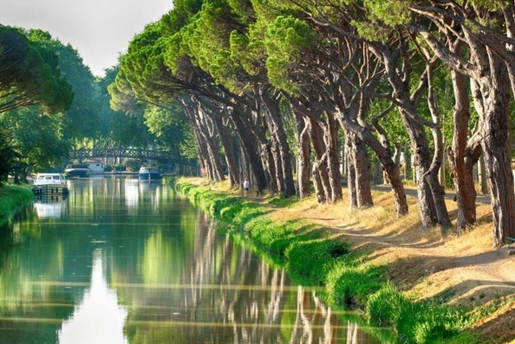 Entre Mer Et Garrigue Saint-Pierre-la-Mer  外观 照片
