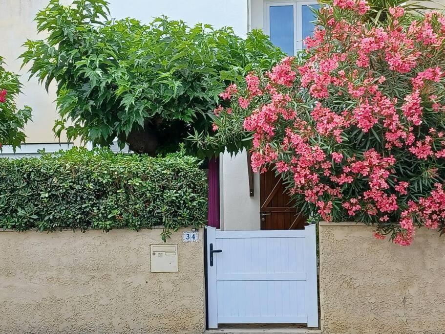 Entre Mer Et Garrigue Saint-Pierre-la-Mer  外观 照片
